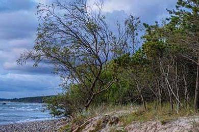 莫德里奇宣布将为皇马再战一个赛季