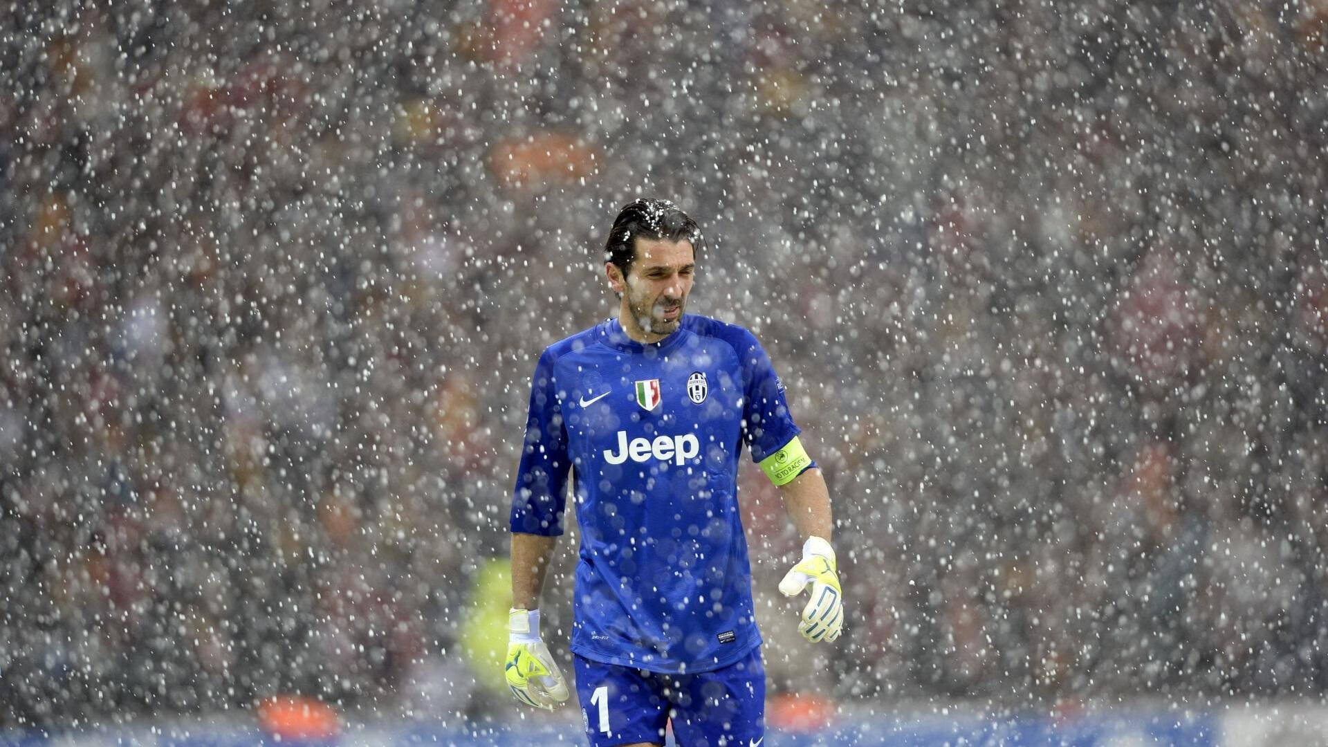 法国新星崭露头角,未来潜力巨大